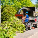 The Importance of Getting a Tree Service