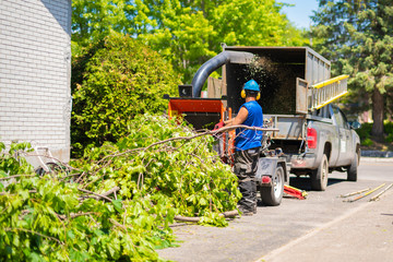The Importance of Getting a Tree Service